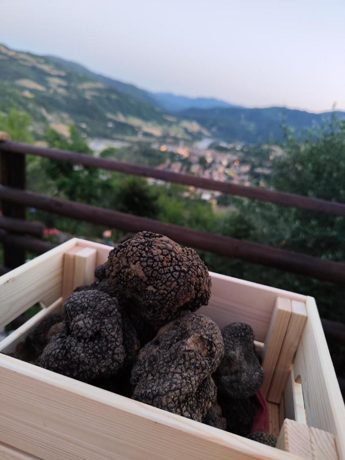 Il Torrione Del Trebbia Βίλα Bobbio Εξωτερικό φωτογραφία